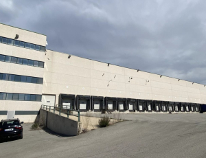 BARBERA DEL VALLES - 19.134 m2