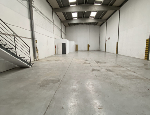 SANTA PERPETUA DE LA MOGODA : 395 M²